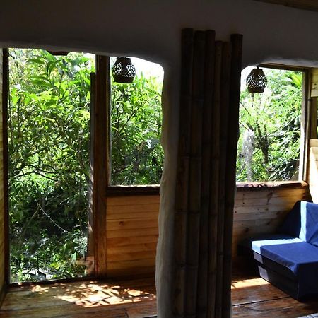 Habitacion Las Bromelias, Pijao, Finca Flora Del Rio ภายนอก รูปภาพ