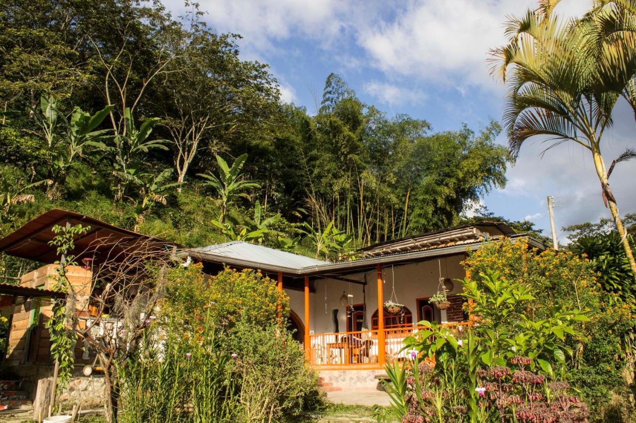 Habitacion Las Bromelias, Pijao, Finca Flora Del Rio ภายนอก รูปภาพ