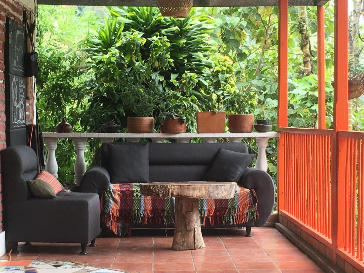 Habitacion Las Bromelias, Pijao, Finca Flora Del Rio ภายนอก รูปภาพ